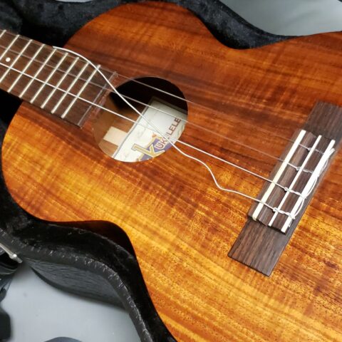 brokenukulelestring