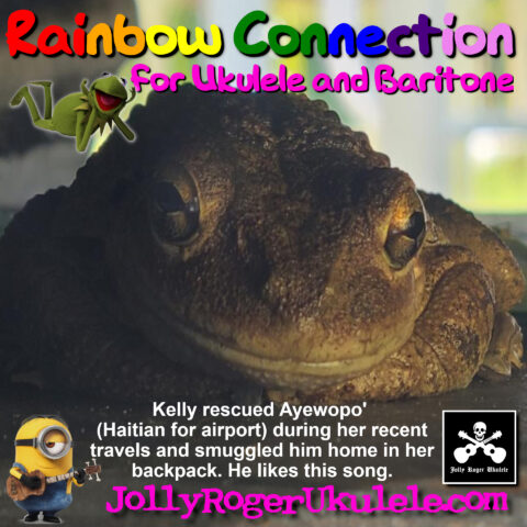 RainbowConnection