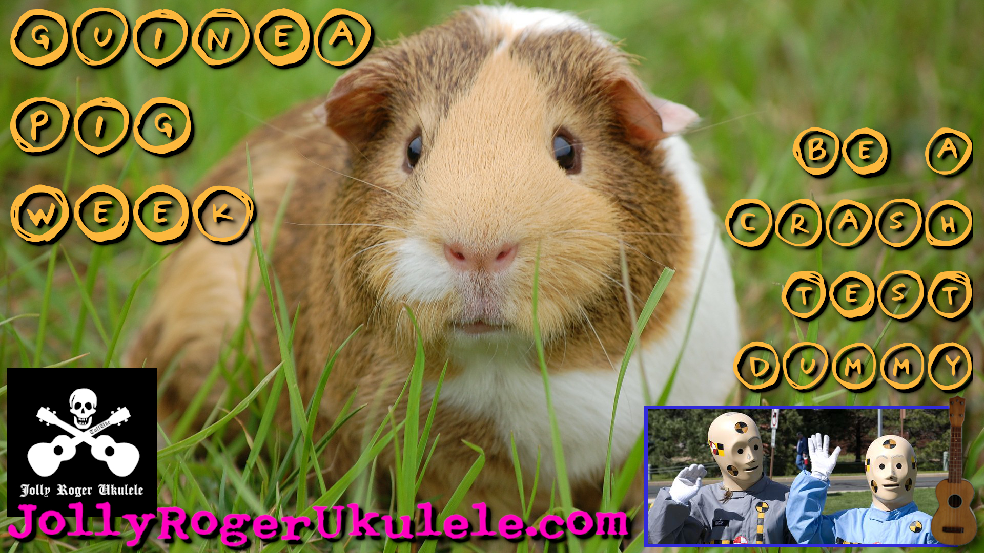 KickYerFannyFridayGuineaPig KickYerFannyFridayGuineaPig
