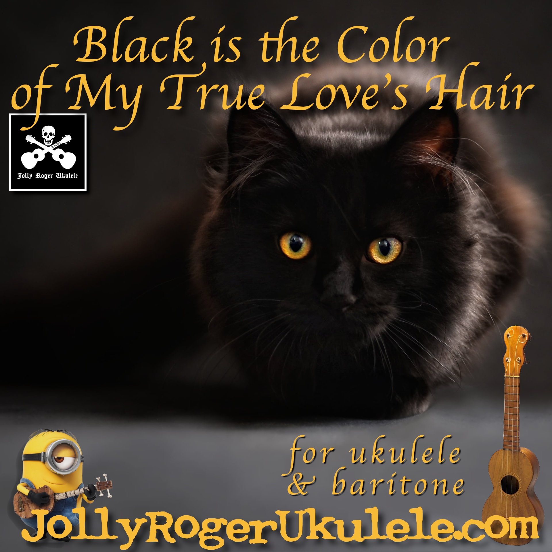 BlackIsTheColorJR